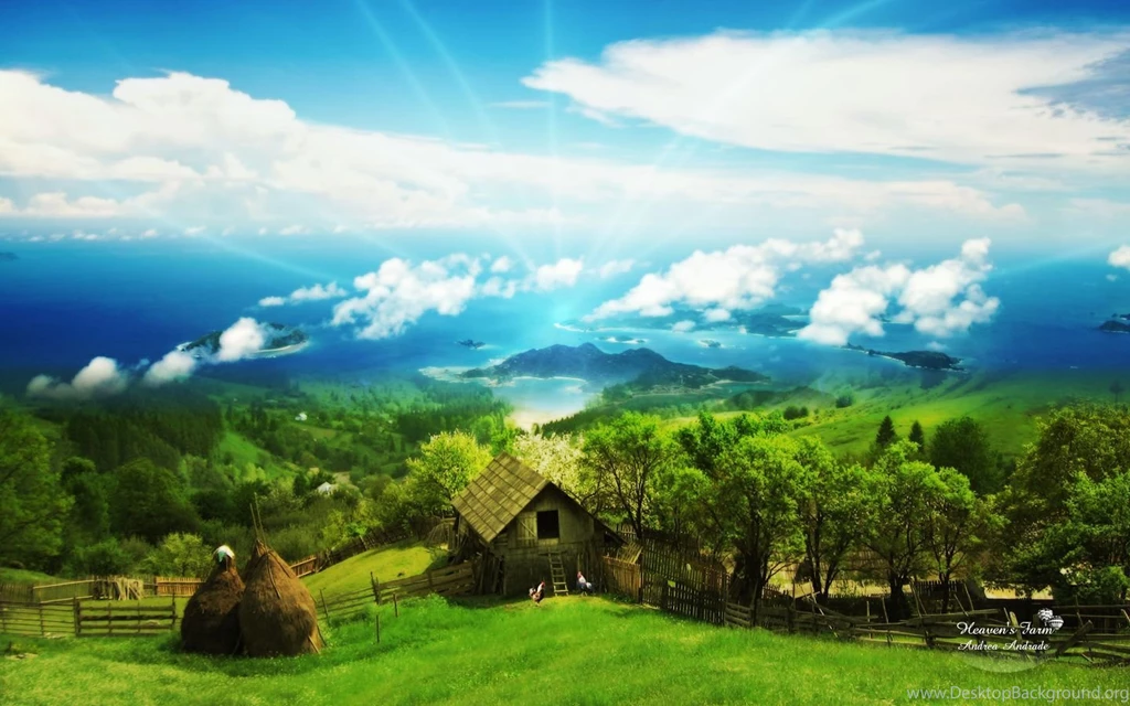 HD Wallpapers