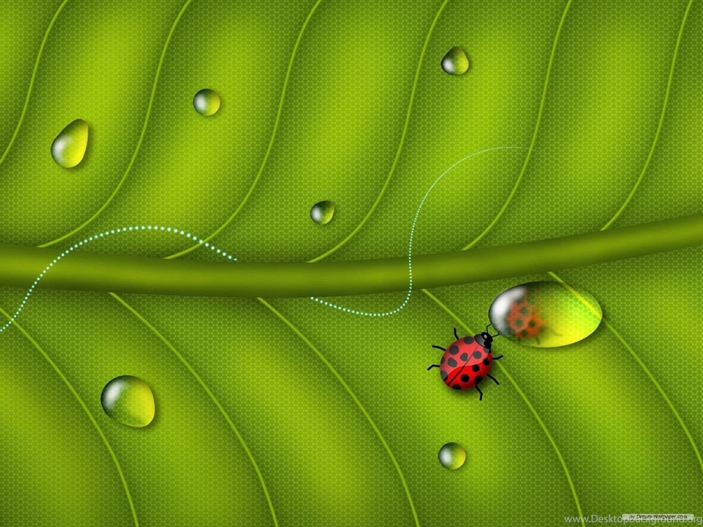 Free Wallpapers Free Art Wallpapers 3D Desktop Wallpapers 5 ...