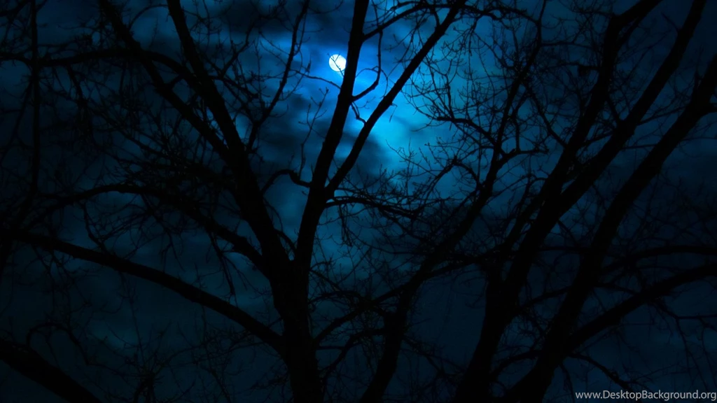 Free Dark Wallpaper Moon Image Jungle Picture.jpg