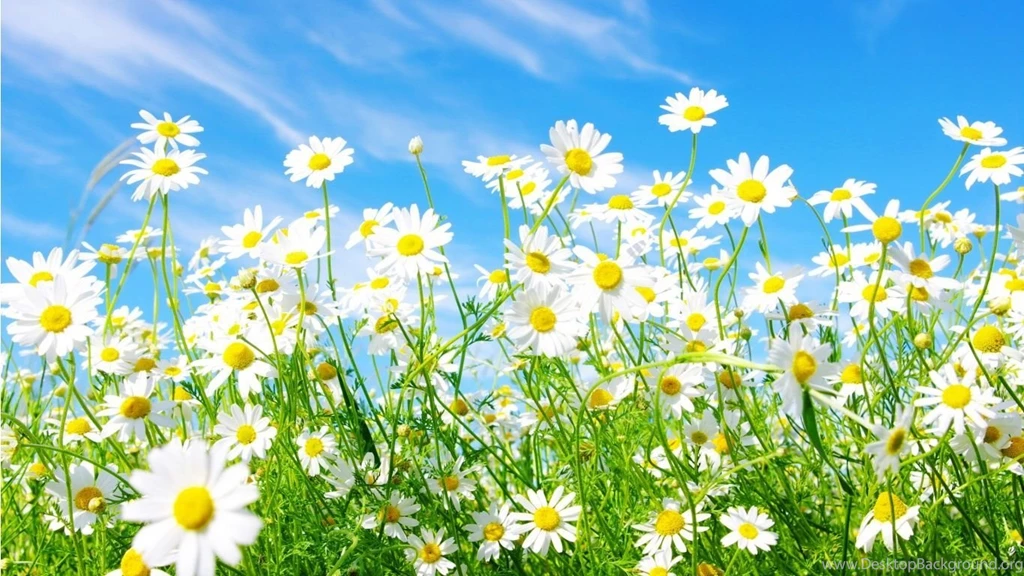 Springtime Screensavers All Wallpapers New