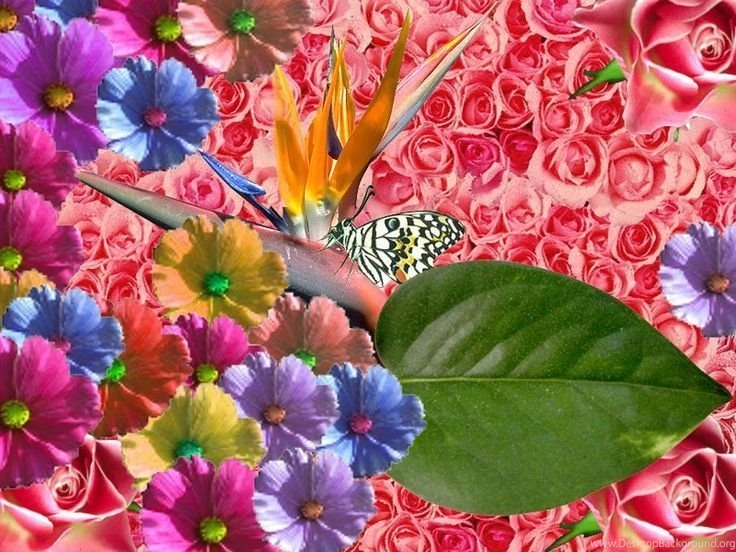 Beautiful Spring Wallpaper spring.0