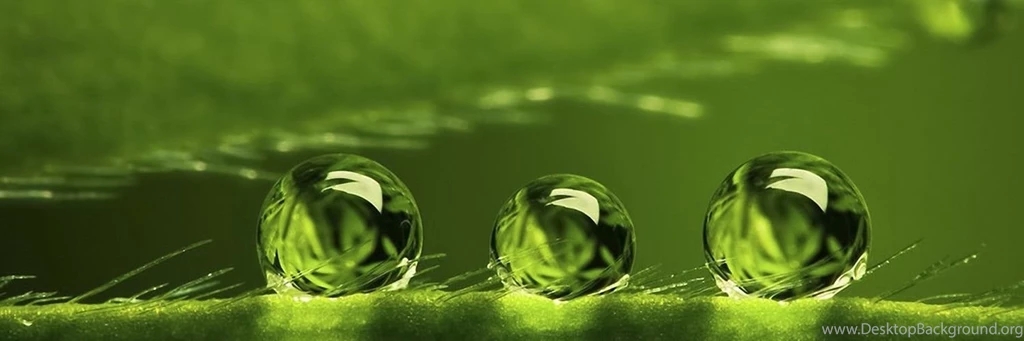 Green Bubbles   Wallpapers