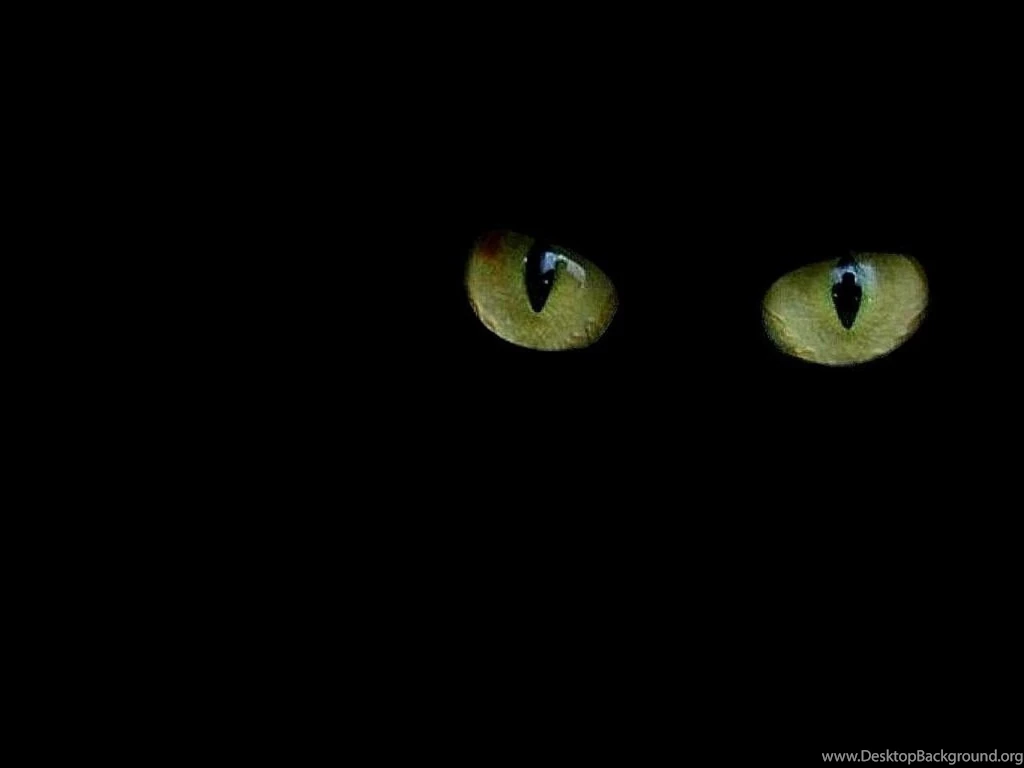 Cat's Eye   Wallpapers