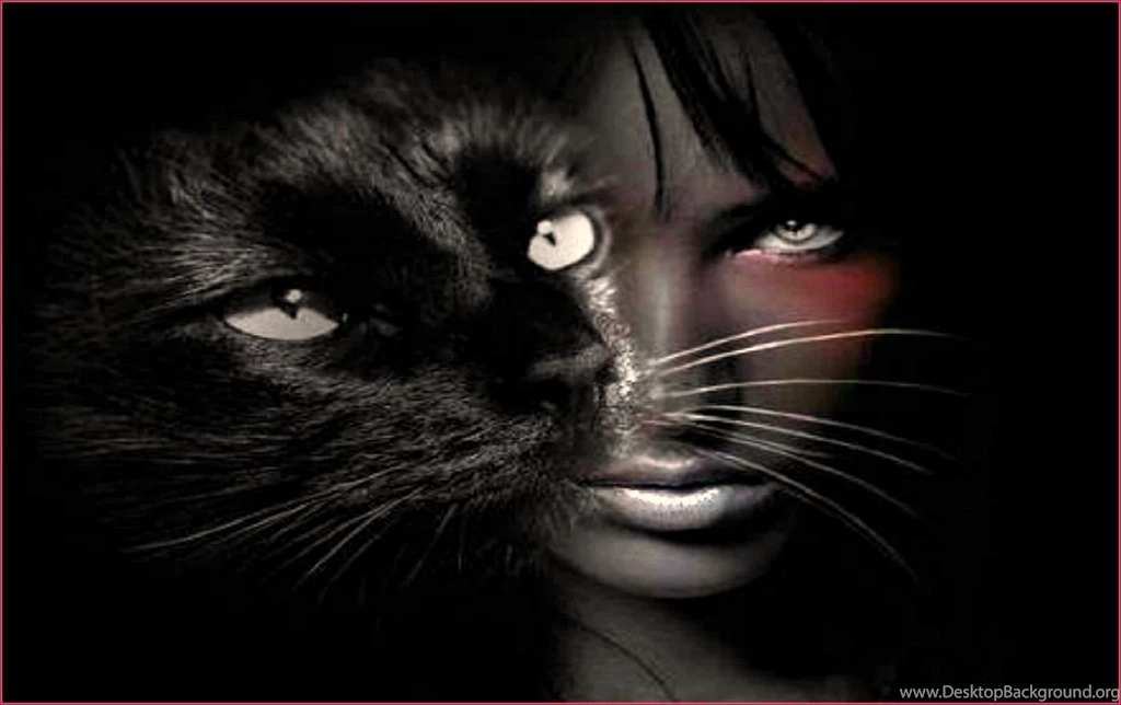 Cat Eye Computer Wallpapers, Desktop Backgrounds