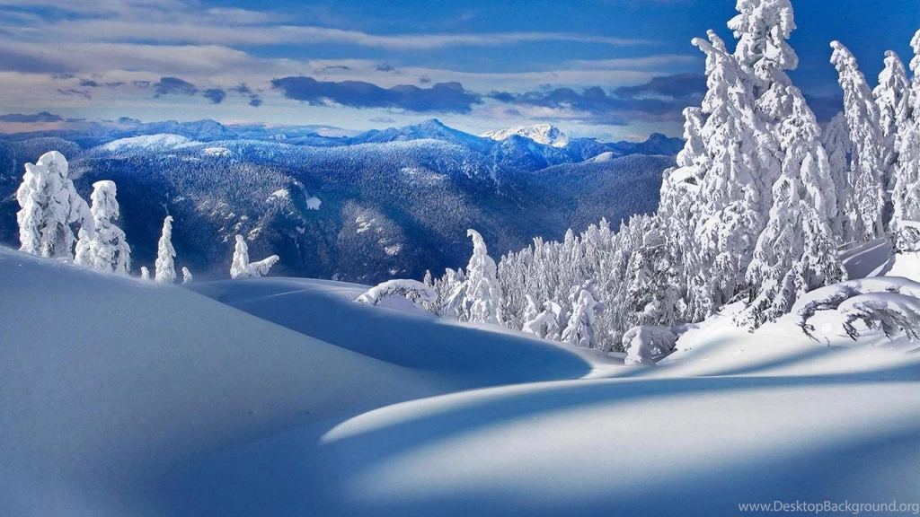 Winter Snow Backgrounds Download Free