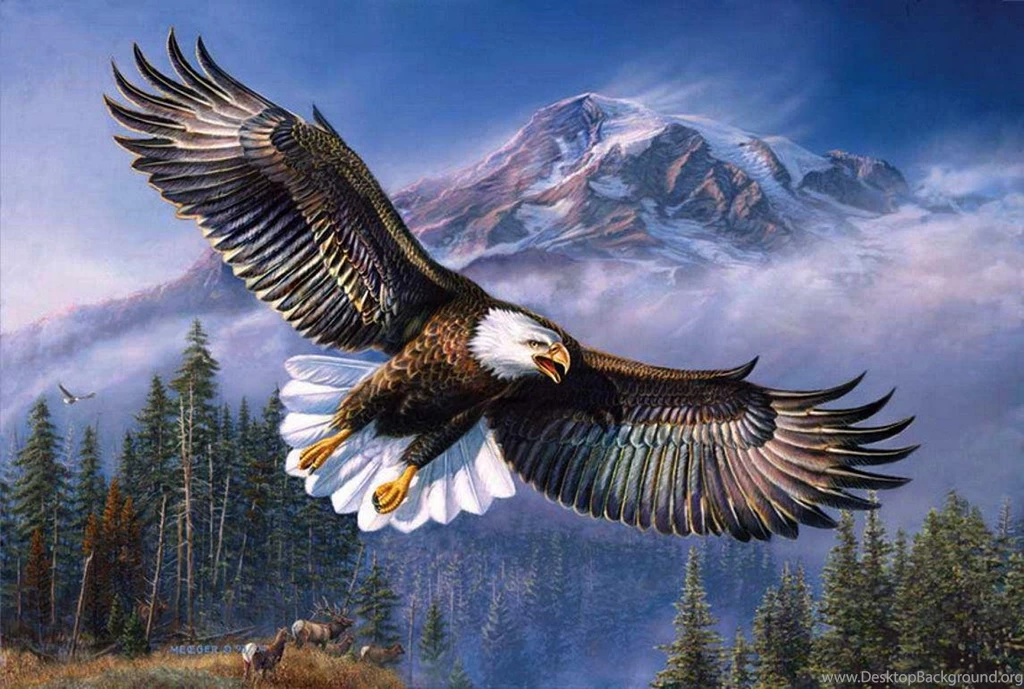 FLYING EAGLE WALLPAPER (