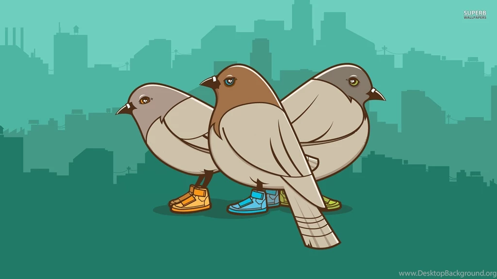 Pigeons With Sneakers Wallpapers Vector Wallpapers