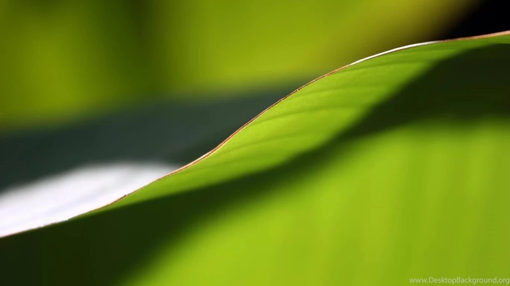 Desktop Wallpapers · Gallery · HD Notebook · Green Line 1366x768 ...
