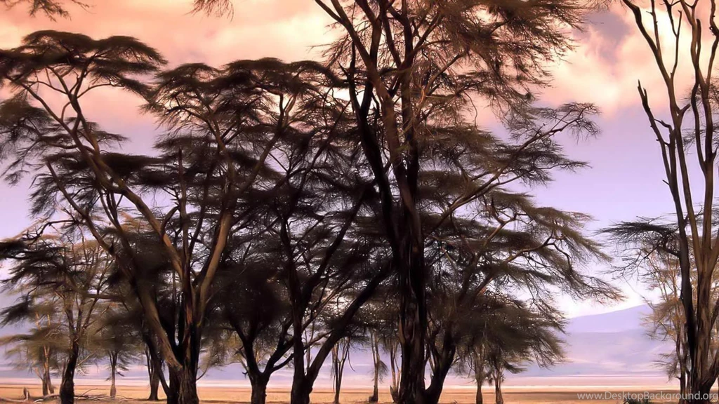 Desktop Wallpapers · Gallery · HD Notebook · Africa 1366x768 ...