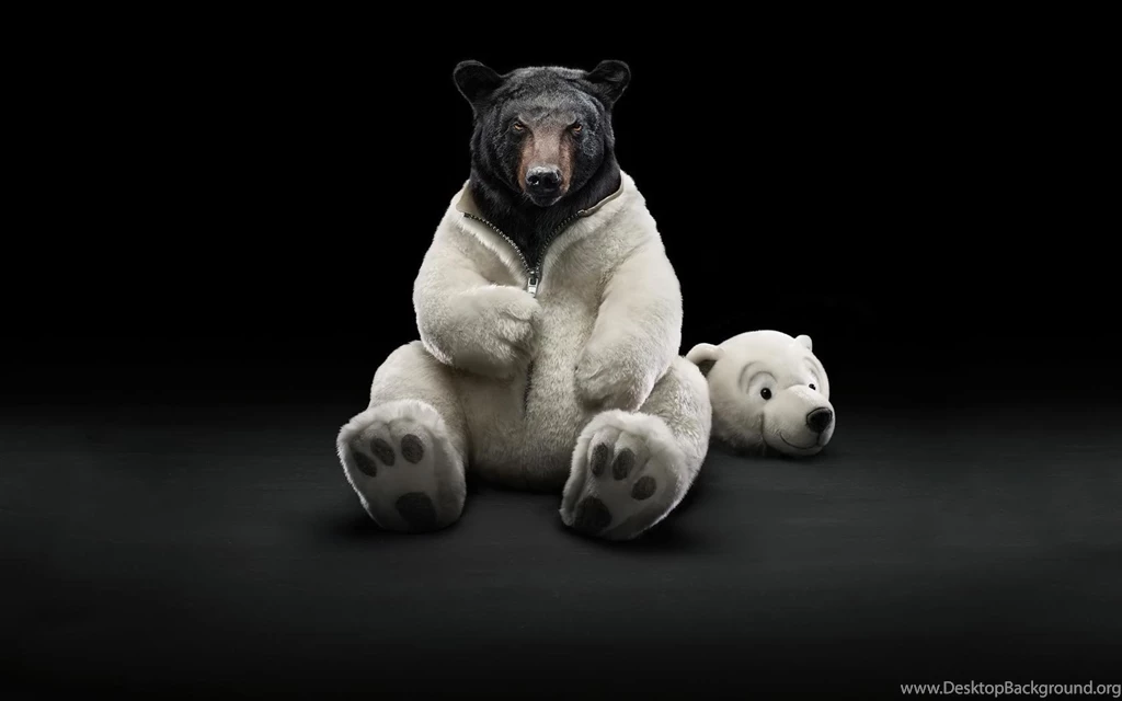 140187d1371621905 funny wallpapers funny wallpapers pictures 1680x1050.jpg
