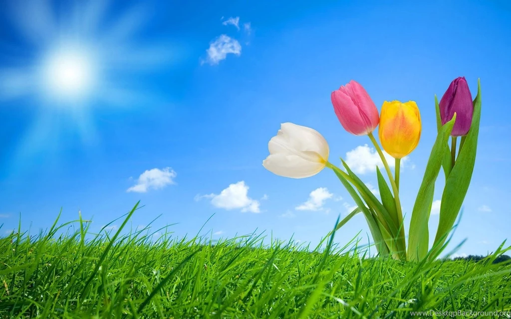 Spring Wallpapers For Desktop Desktop Backgrounds