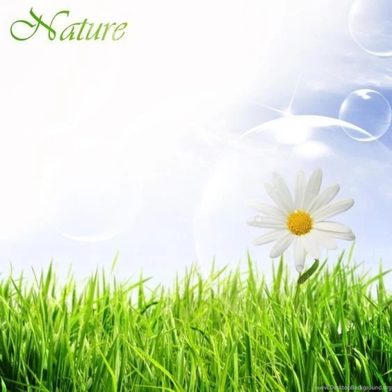 Awesome Wallpapers, Spring Backgrounds, Spring Computer ...