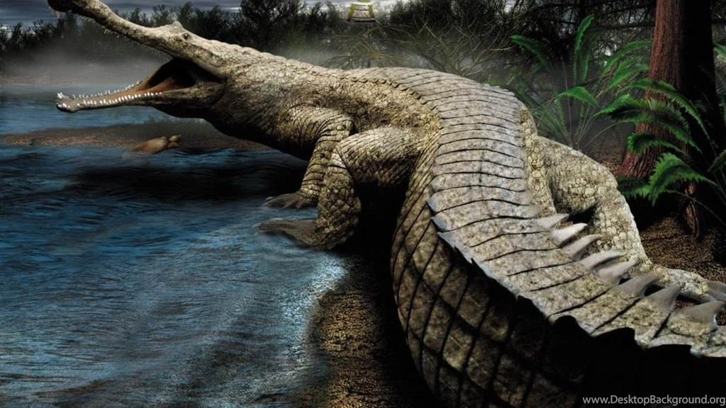 Crocodile