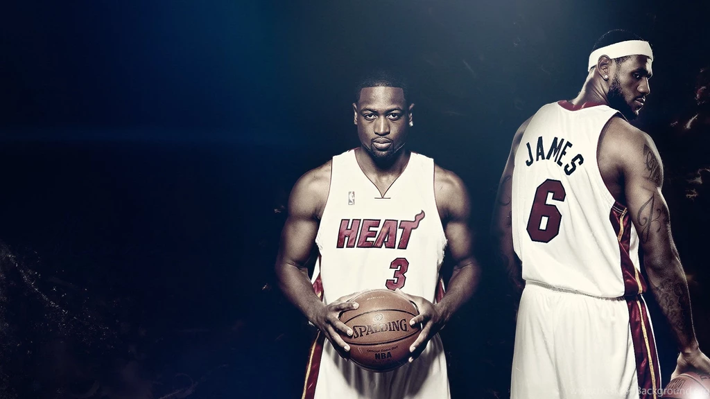 Dwyane Wade Spalding Lebron James Heat Basketball Nba Basketball ...