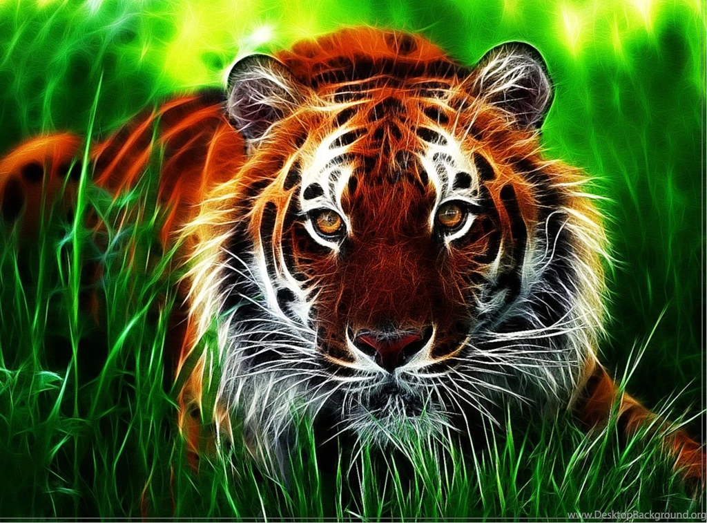 Desktop_wallpaper_tiger_2.jpg