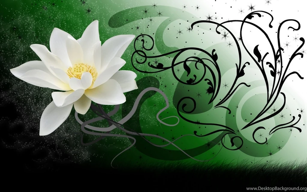 1440x900 White Lotus Desktop PC And Mac Wallpapers