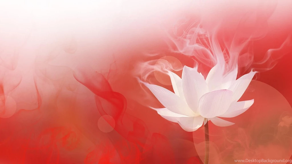 Lotus In The Fire, Life Is Booming 1920x1080 1080P WideScreen