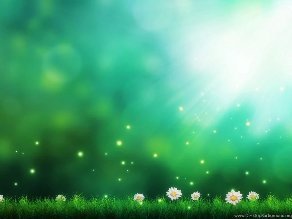 1024x768 Daisies Green Backgrounds Wallpapers