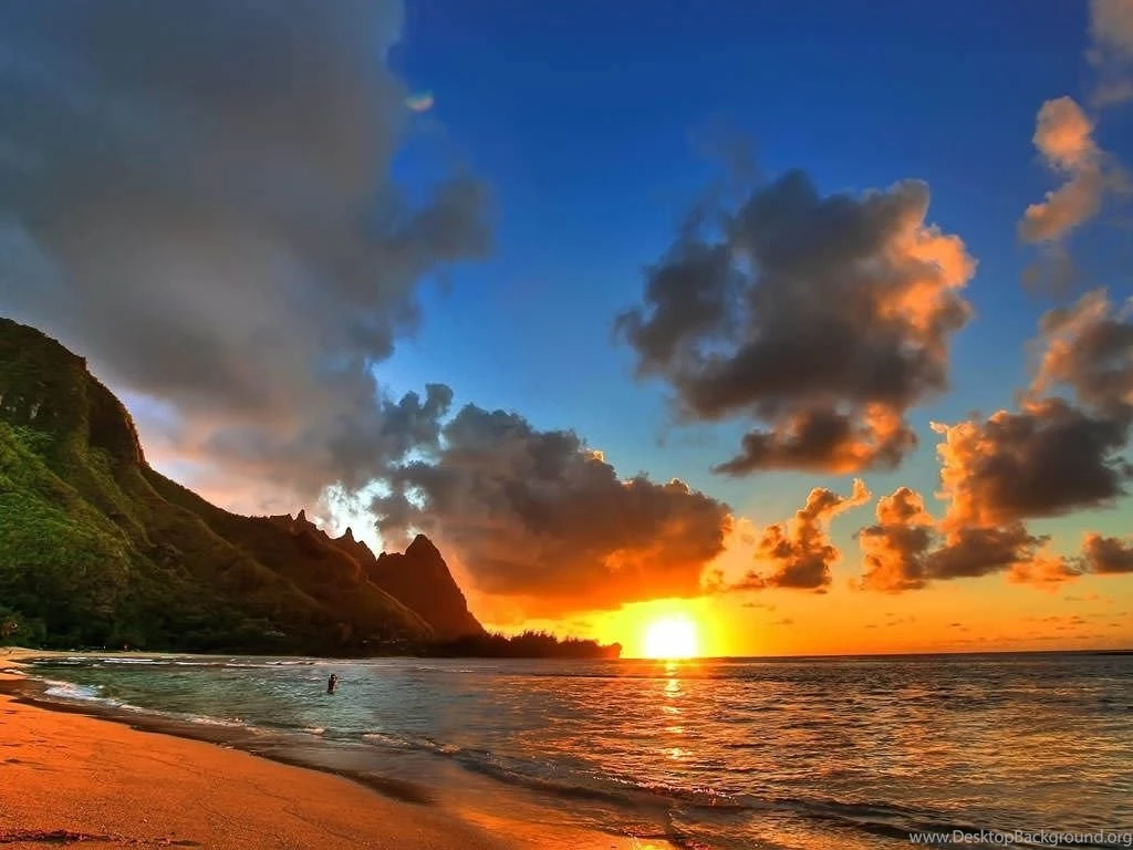 Summer Backgrounds 1024x768