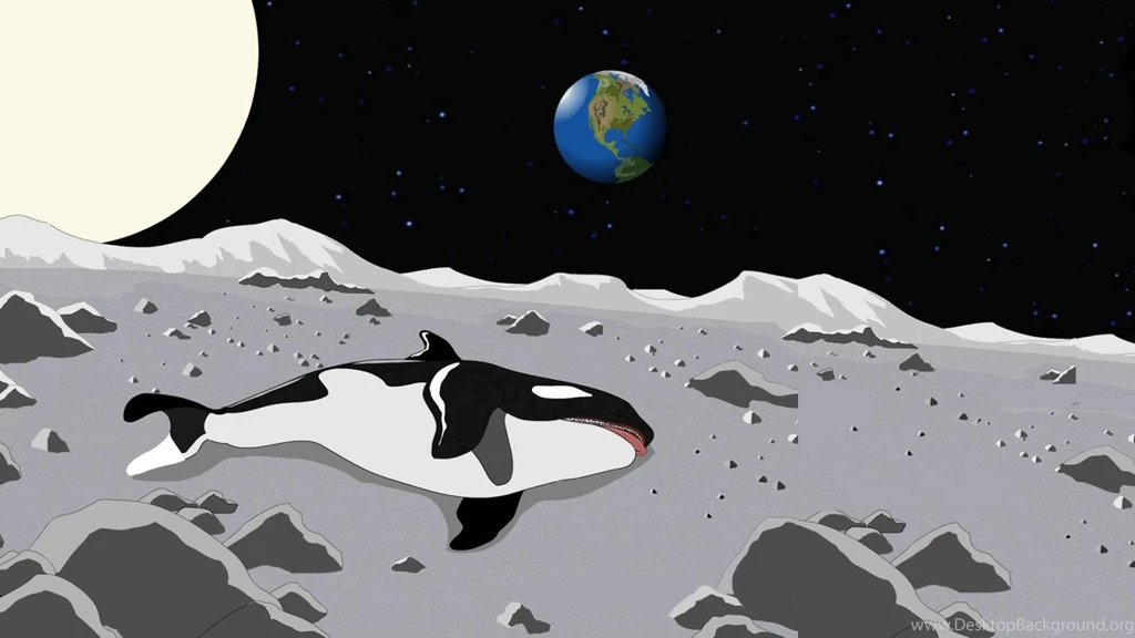 Willzyx Wallpapers : Southpark