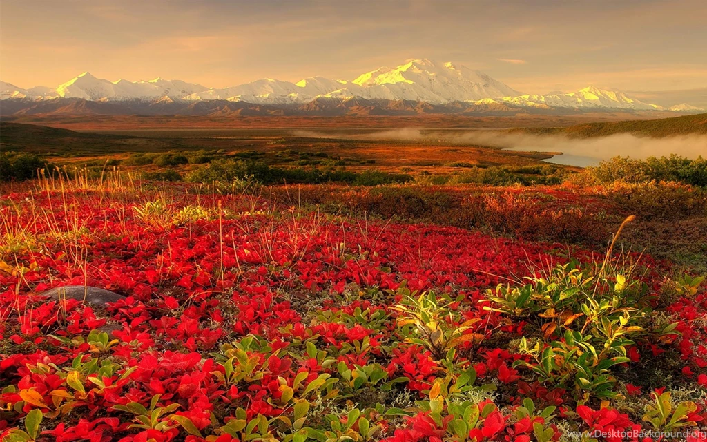 Alaska HD Desktops