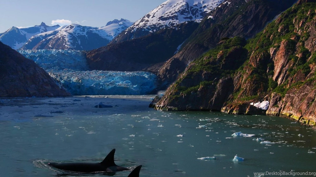 Hd, Wallpaper, Spring Desktop Backgrounds Hd Hd Wallpapers ...