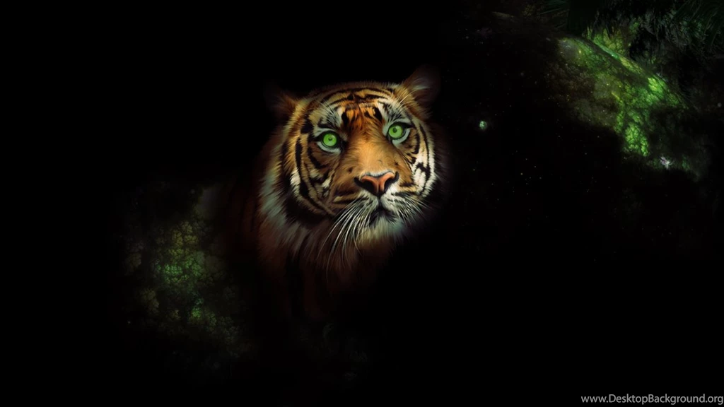Tiger Wallpapers HD By Tooyp On DeviantArt