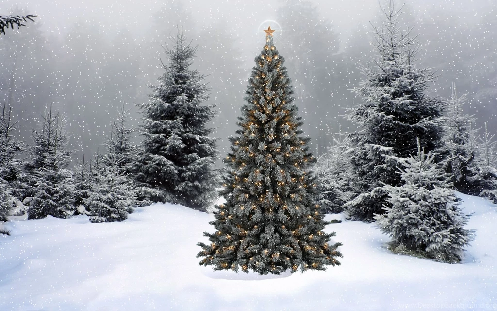 Gallery For Xmas Tree Snow