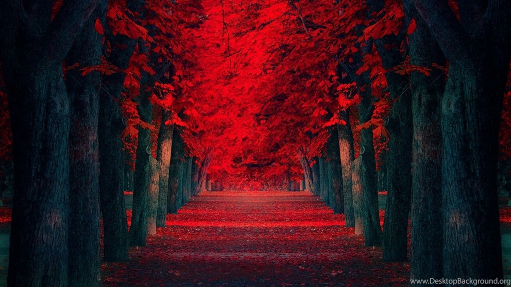 Red Tree Desktop Wallpapers HD Wallpaper Backgrounds Of Your Choice