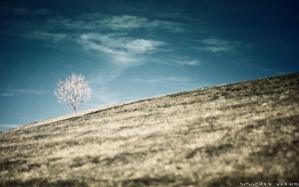 Theme Bin» Blog Archive » What Is Real HD Wallpapers