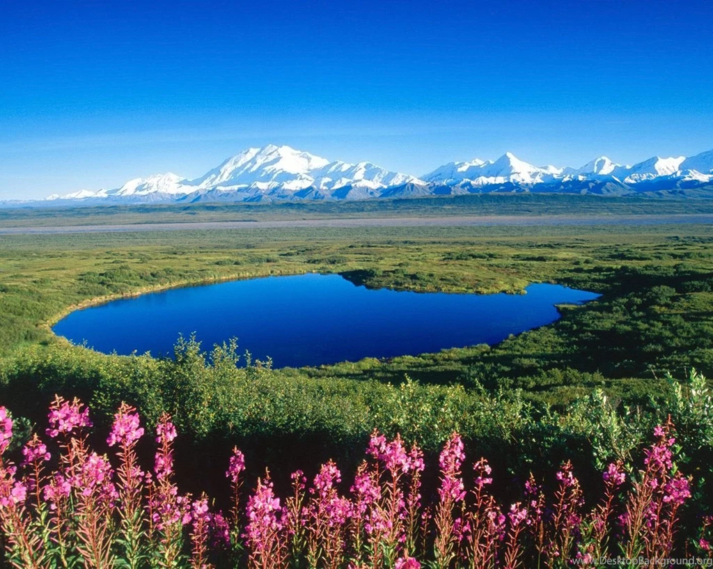 Nature Wallpapers, Hd Landscape Images, Amazing Landscape ...