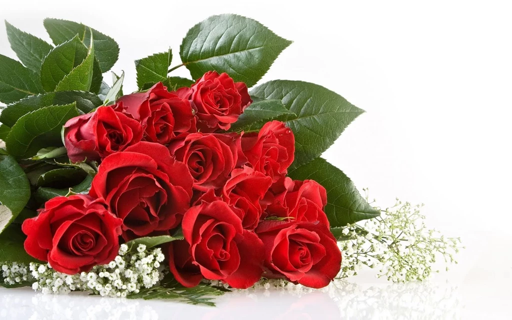 Beautiful Wallpapers Roses Flower Typesofflower.com ...