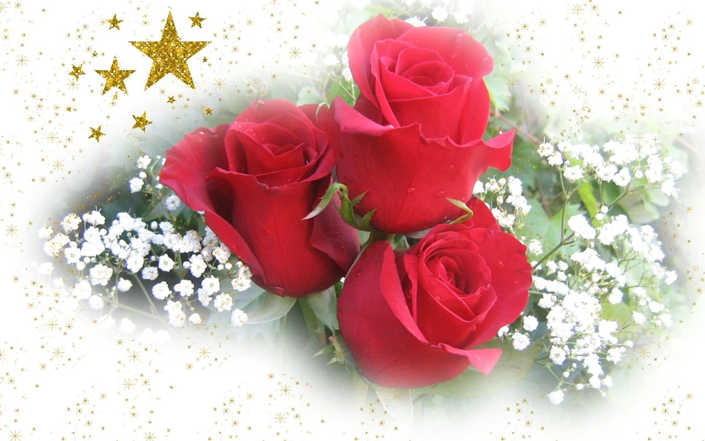 Widescreen Christmas Wallpapers   Roses And Stars
