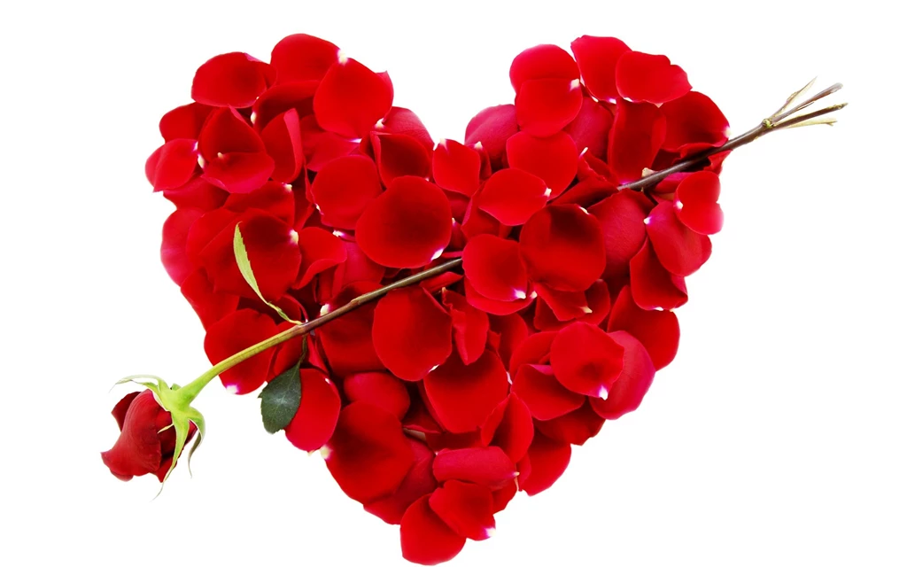 Valentine Roses Wallpapers: Beautiful By Free Download Best HD ...