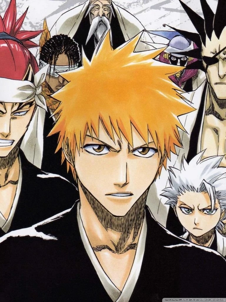 Bleach Soul Society HD Desktop Wallpapers : Widescreen : High ...