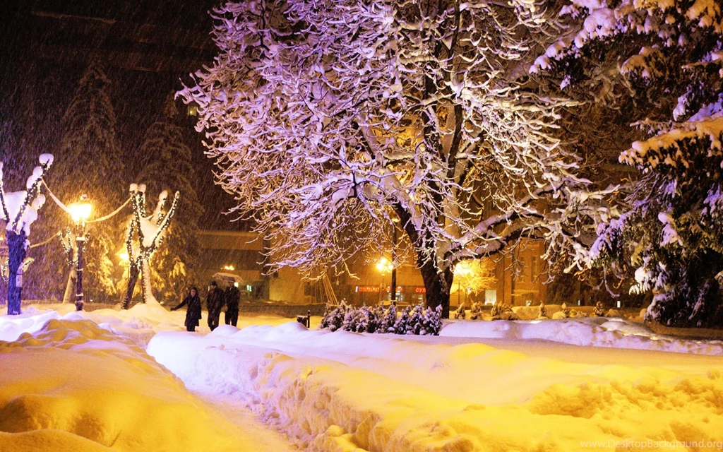 Winter Night HD Wallpapers Free