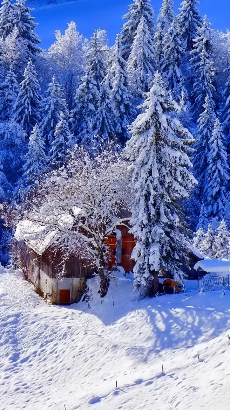 House Hill Snow Trees Winter Wallpapers For Iphone