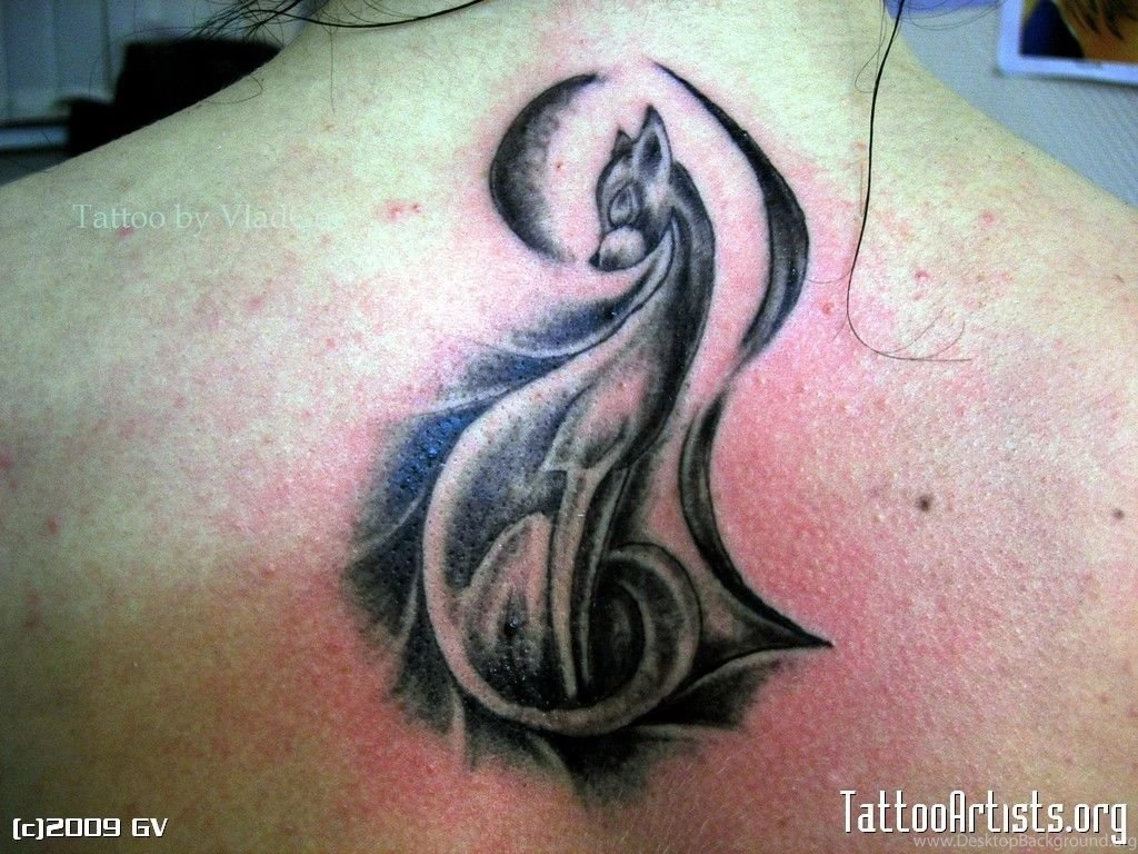 Funny Cat Tattoo 20 Free Hd Wallpapers Funnypicture.org
