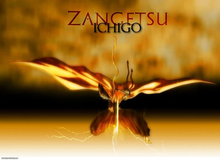 Bleach Cool Graphic