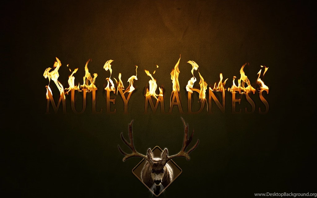 Mule Deer Mania