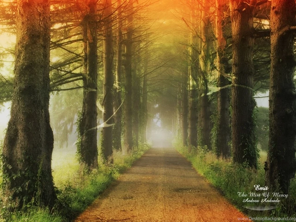 Amazing Nature Wallpapers National Geographic Wallpapers (7896983 ...