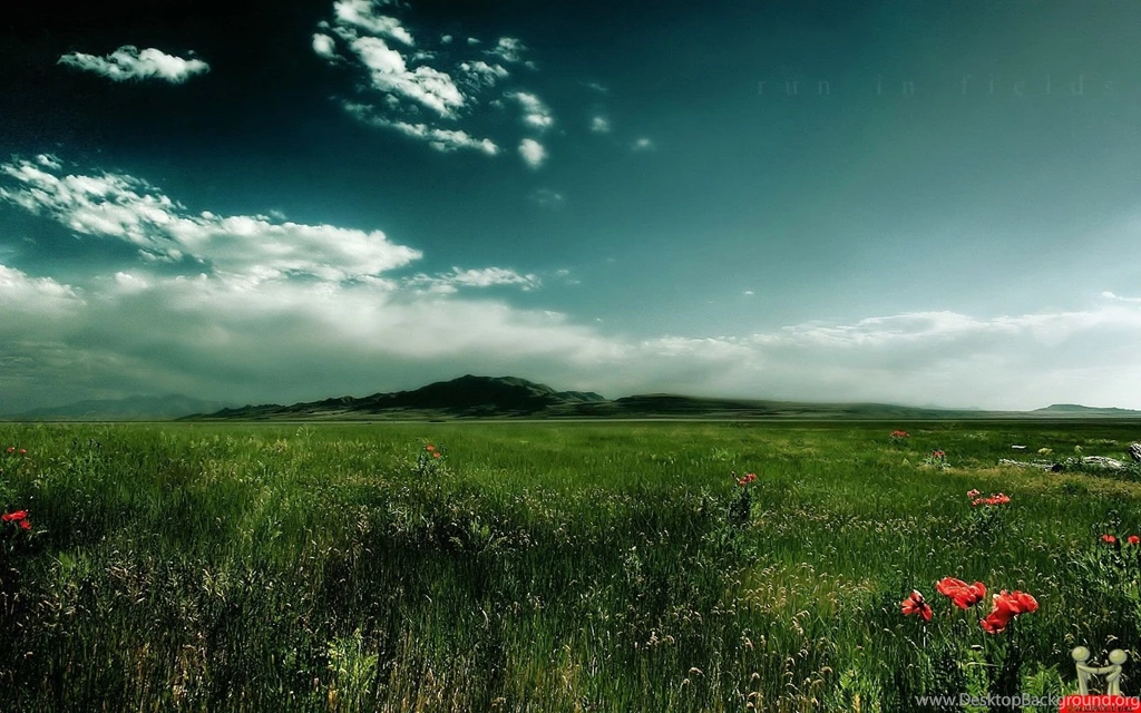 Amazing Nature Photography HD Wallpapers – HD Wallpapers Free ...