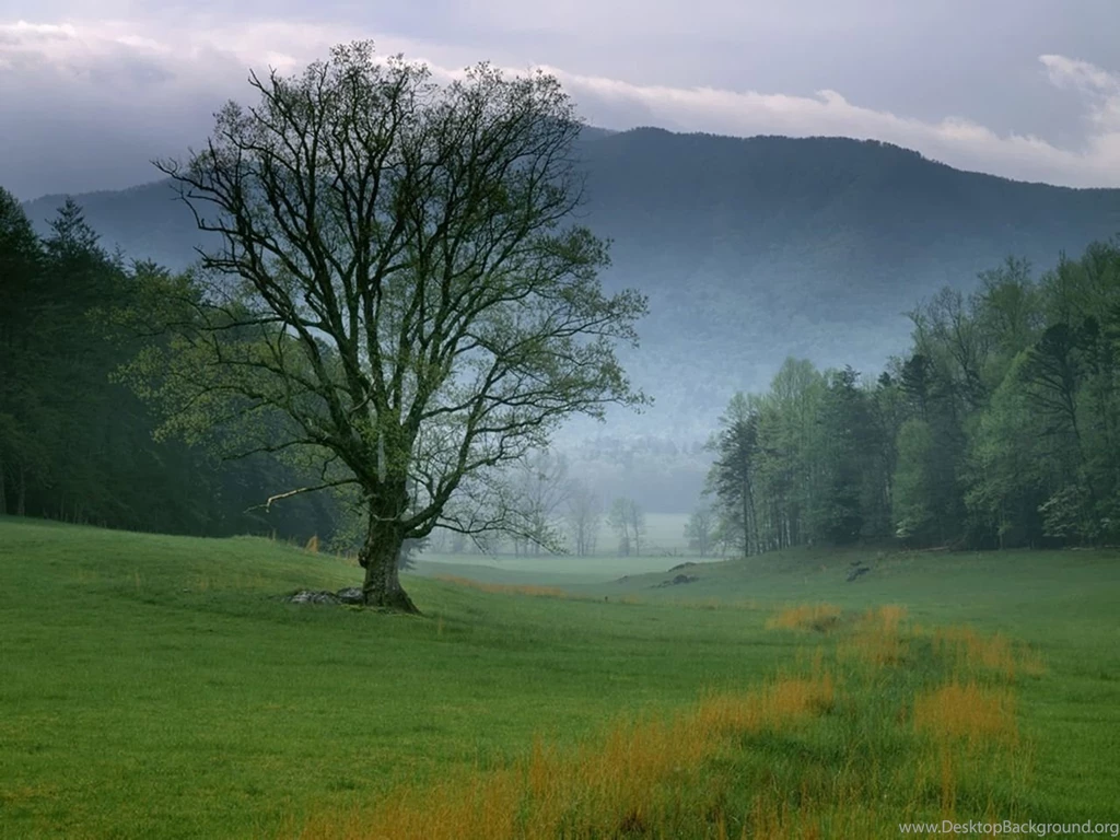 Amazing Nature Wallpapers   National Geographic Wallpapers (7896998 ...