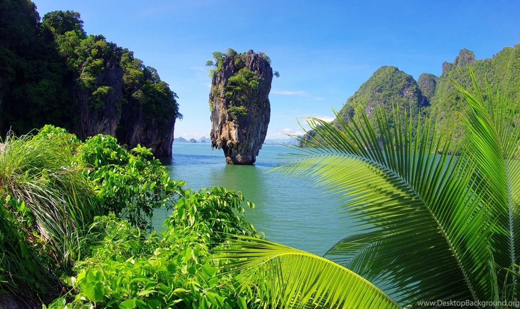 Organic Photos, Amazing Nature Wallpapers, Plants, Green, Fresh ...