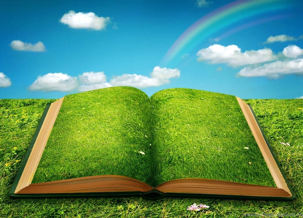 Lawn 31343   Creative Design   Classic Design