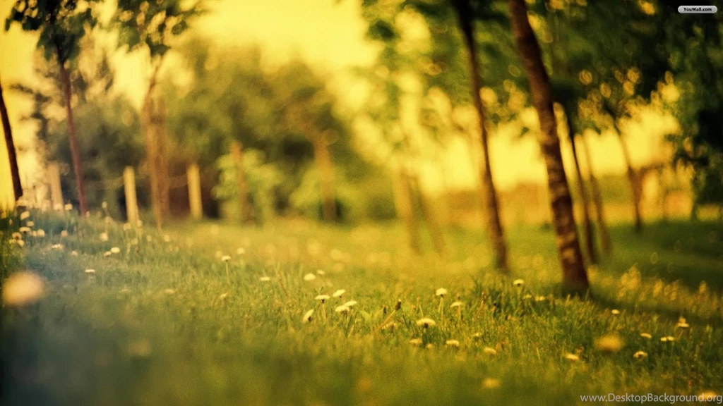 YouWall Summer Lawn Wallpapers Wallpaper,wallpapers,free ...
