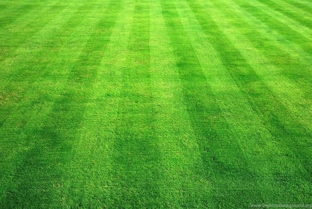 Beautiful Lawns Quotes. QuotesGram