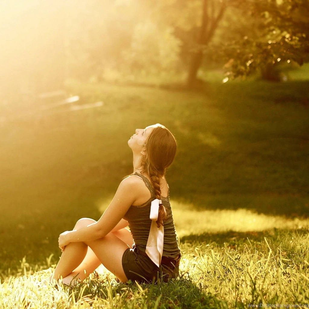 Sun Beauty Lawn Tree iPad Air Wallpapers Download