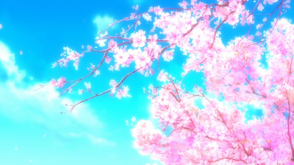 Sakura Computer Wallpapers, Desktop Backgrounds