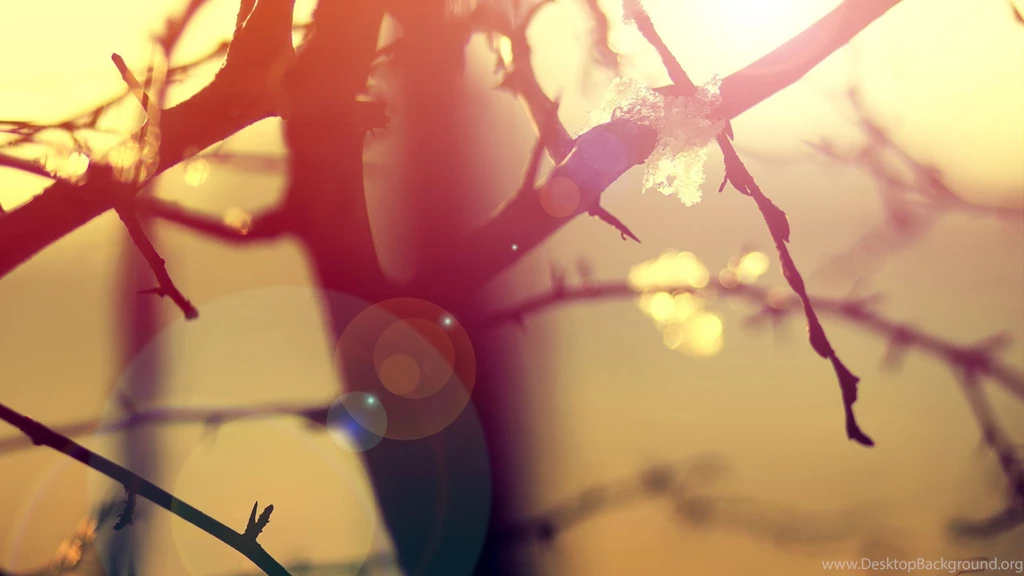 Free Winter Mac Wallpapers, iMac Wallpapers, Retina MacBook Pro ...